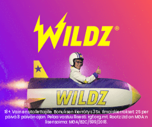 wildz netti kasino